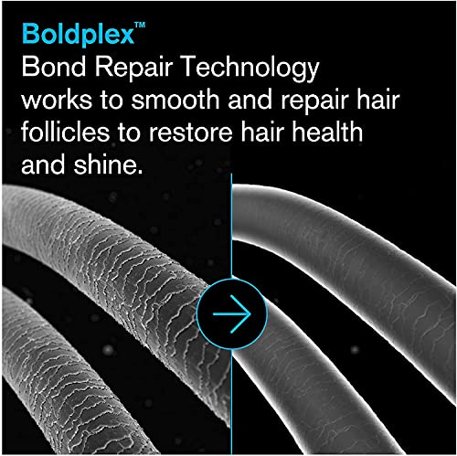 Boldplex 3, 4 & 5 Bond Restore tretman, šampon & regenerator Trio Poklon Set - hidrataciju proteina Formula, jača suho & oštećena