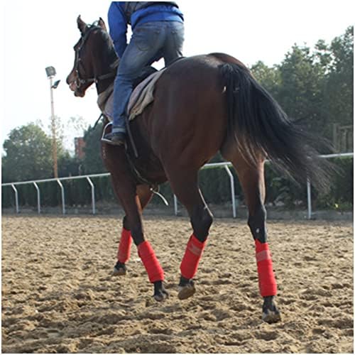 Z & amp;X konjske čizme sportska traka Set konja oblozi za konjsku opremu oprema za trke konja