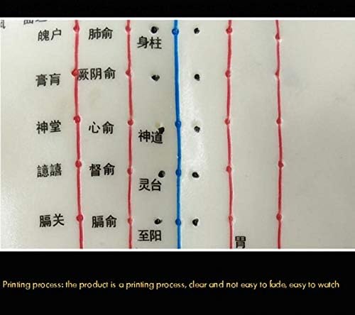 ZHONGJIUYUAN 1 komad ženski akupunktura Model 50cm / 20inch sa kineskim boda & baza PVC ljudsko tijelo akupunktura Model akupunktura