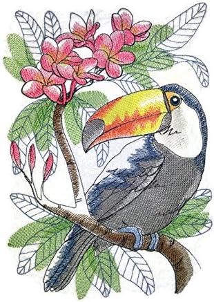 Priroda tkana u nitima, nevjerojatne ptice [tropska toucan skica] [Custom i jedinstveno] Vezeno željezo na / sew flaster [9.59 * 6.9]