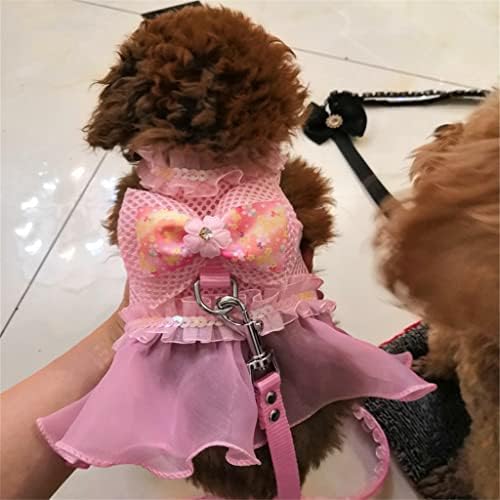 Generički pojas za pse za male pse luksuzne princeze čipke haljina pasa i povodac se postavljaju slatka pse prsluka za šetnju šetnju