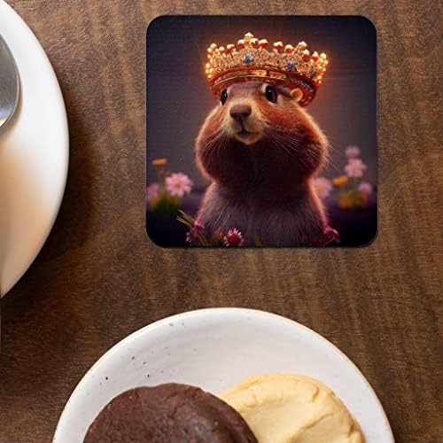 Smiješni podmetači za životinje - Marmot Coaster - slatki podmetači za piće