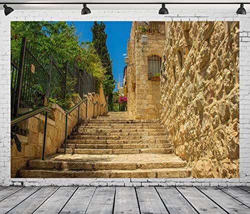 BELECO 20x10ft tkanina Jerusalem Street Backdrop Ancient Stairway Passage zeleno drveće kamene zgrade stari kameni zid kuće Jerusalem