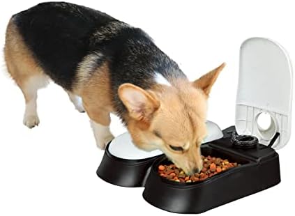 PAWISE automatska hranilica za kućne ljubimce, Automatski dozator suhe hrane za pse sa tajmerom za mačke i pse, posuda za hranu za