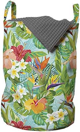 Lunarable list torba za veš, Vintage crtani stil slika Hawaiian Flowers Crepe Gingers, korpa za korpe sa ručkama zatvaranje Vezica