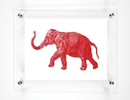 Elephant Scarlet, 25. 5x31.5in.