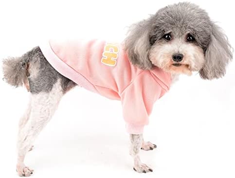 Ranphy Mali pas odjeća Puppne Hoodie za djevojku mačka pulover džemper doggice skakači dukserica slatka košulja sa voćnim uzorkom