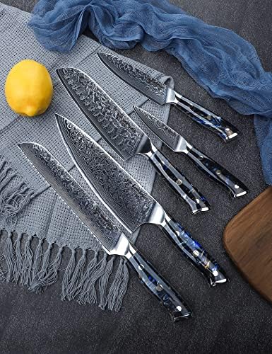 Sanmuzuo Chef Kuhanje za kuhanje set - kuhinjski set noža od 5 komada - ultra-oštri VG10 Damask čelik i ručka smole - Xuan serija