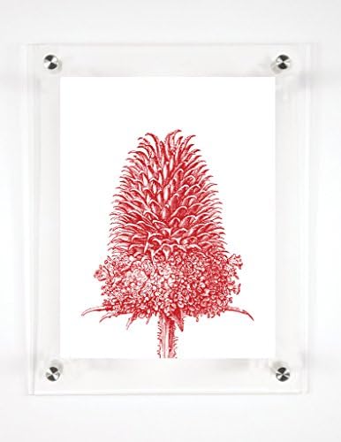 Thistle Scarlet, 12x9in.