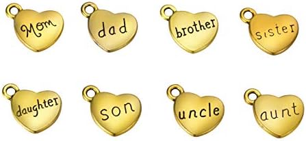 Coco Park okrugla oznaka za kućne ljubimce personalizirana besplatna GRAVIRAJUĆA lična oznaka ogrlica od nehrđajućeg čelika sa Son